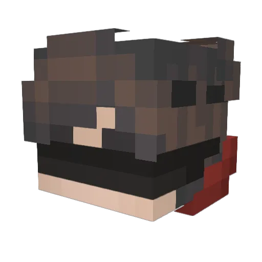 ttzin_apelaum Minecraft avatar head, 3D render