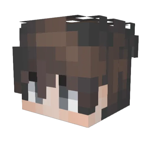 tu5k Minecraft avatar head, 3D render