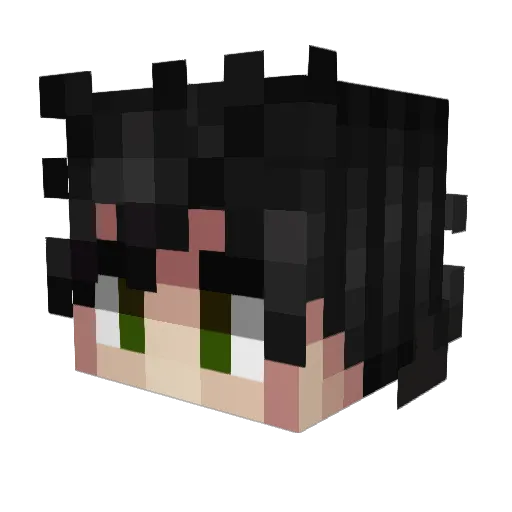 tuQD Minecraft avatar head, 3D render