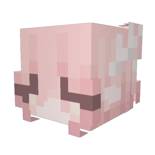 tuanzi77 Minecraft avatar head, 3D render