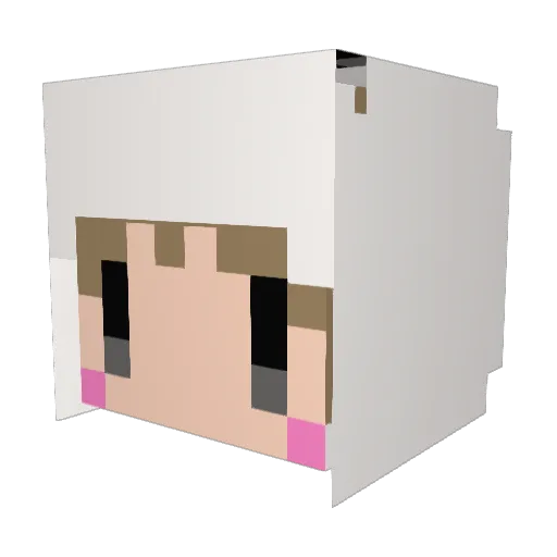 tubaoni Minecraft avatar head, 3D render