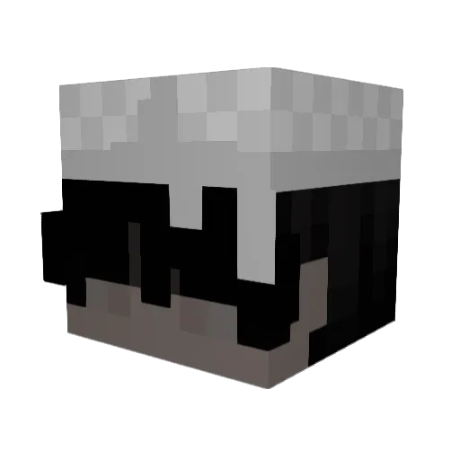 tubebrainz Minecraft avatar head, 3D render