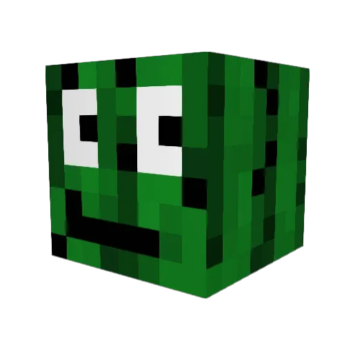 tuck_rocks Minecraft avatar head, 3D render