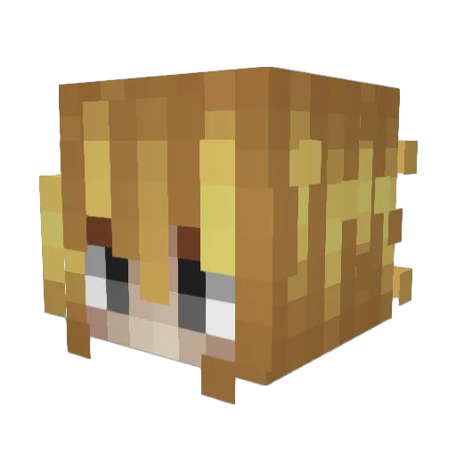 tucktuck225 Minecraft avatar head, 3D render
