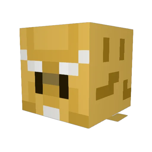 tudou141516 Minecraft avatar head, 3D render