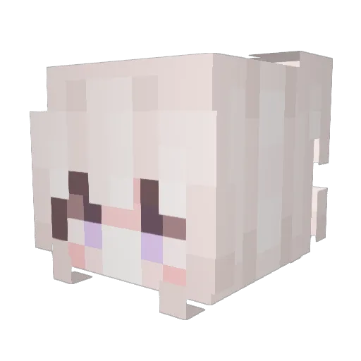 tuduy Minecraft avatar head, 3D render