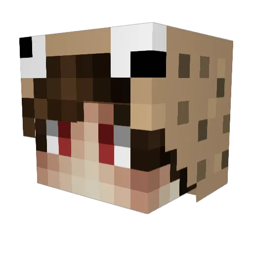 tuengmc Minecraft avatar head, 3D render
