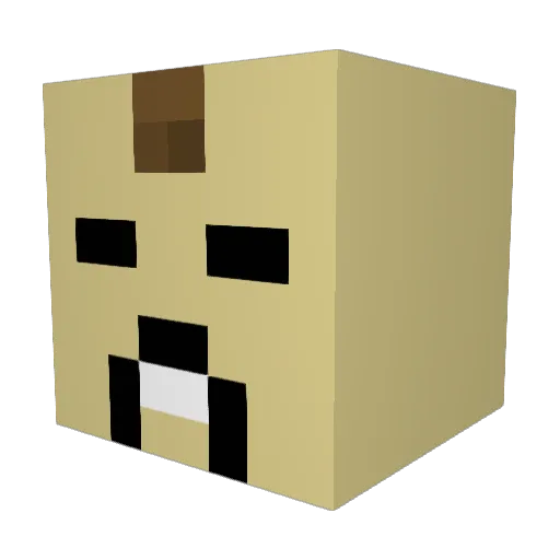 tufeo Minecraft avatar head, 3D render