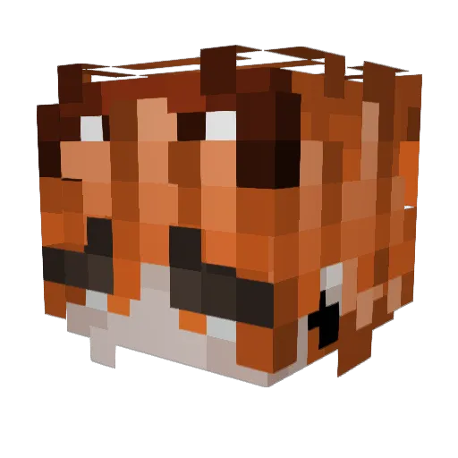 tuffvalorantnigg Minecraft avatar head, 3D render