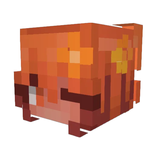 tufti Minecraft avatar head, 3D render