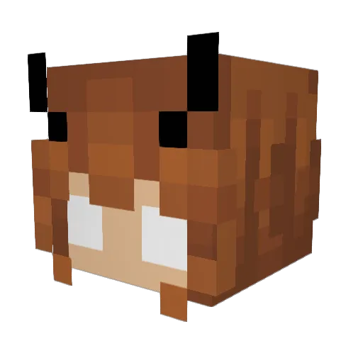 tugiy Minecraft avatar head, 3D render