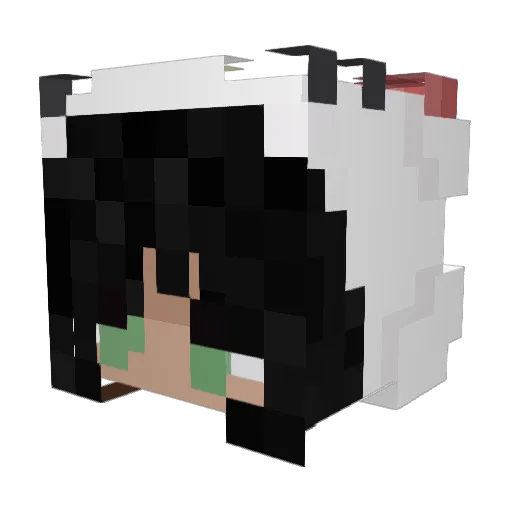 tuh1na Minecraft avatar head, 3D render