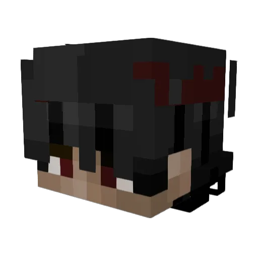 tuhkalintu Minecraft avatar head, 3D render