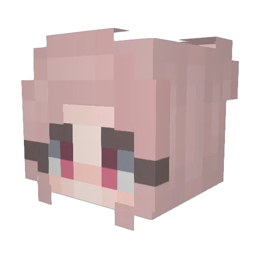 tujjer99 Minecraft avatar head, 3D render