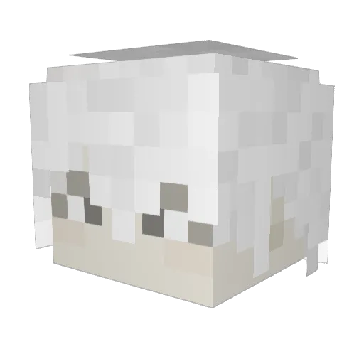 tukasa9813 Minecraft avatar head, 3D render