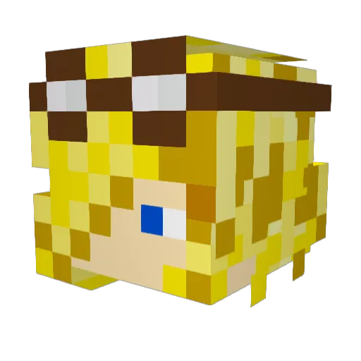 tukkun29 Minecraft avatar head, 3D render