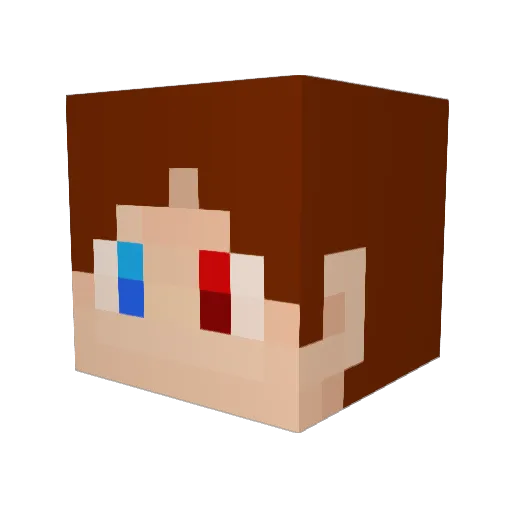 tukushi0304 Minecraft avatar head, 3D render