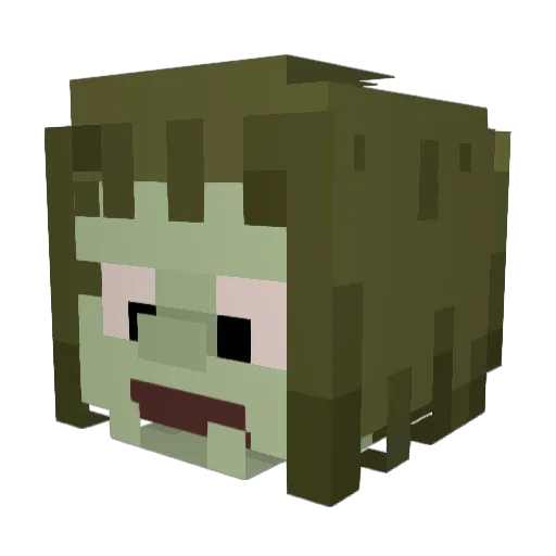 tulachica Minecraft avatar head, 3D render