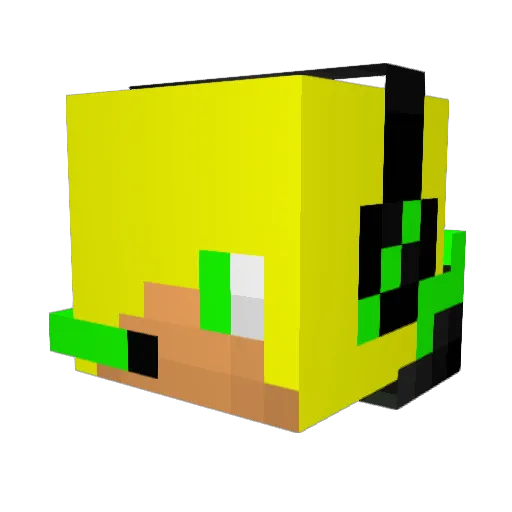 tulicapo Minecraft avatar head, 3D render
