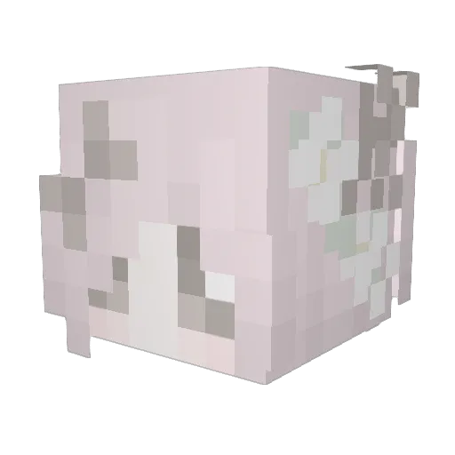 tuliep Minecraft avatar head, 3D render