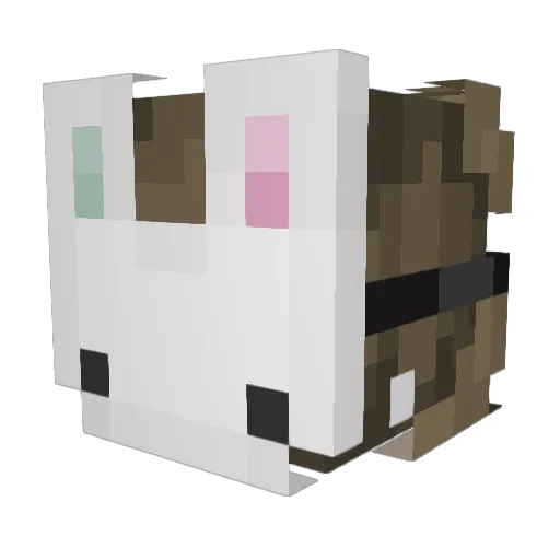 tulipanza Minecraft avatar head, 3D render