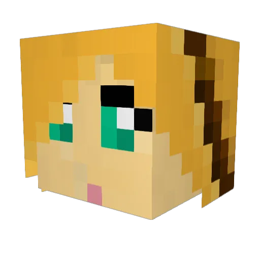 tullerdumedmeg Minecraft avatar head, 3D render