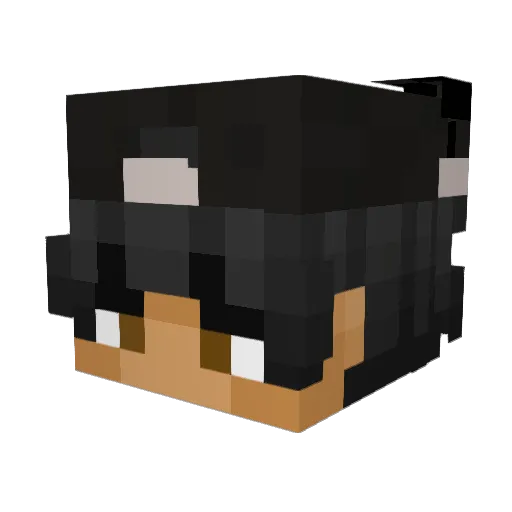 tulplex Minecraft avatar head, 3D render