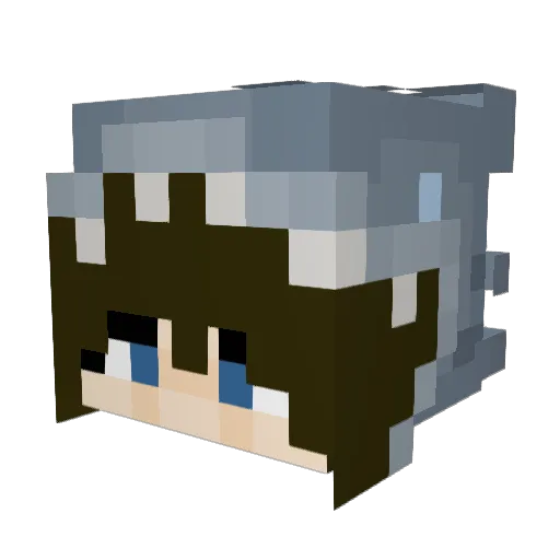 tumbaburros23 Minecraft avatar head, 3D render