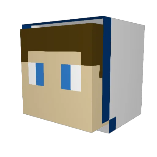 tumi12345 Minecraft avatar head, 3D render