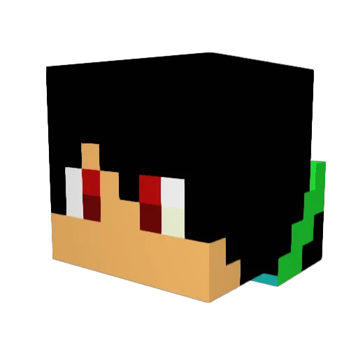 tumtamsolo08 Minecraft avatar head, 3D render