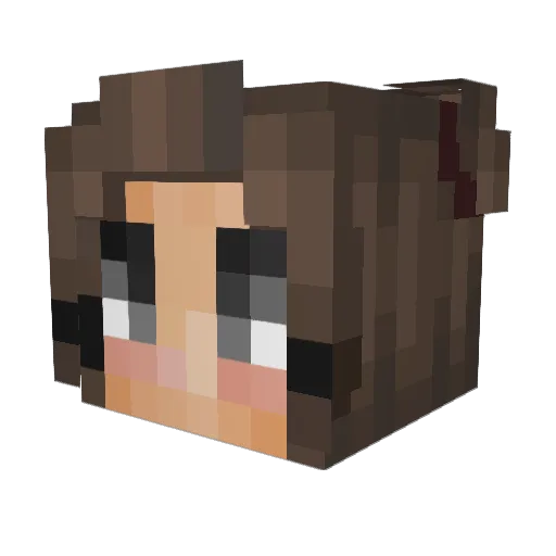 tumtum11 Minecraft avatar head, 3D render