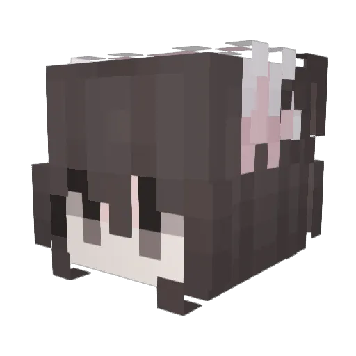 tun_ben_bu_yi Minecraft avatar head, 3D render