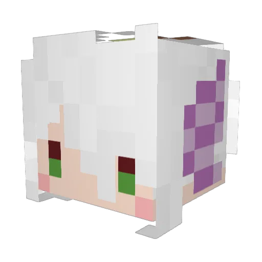 tuna1992 Minecraft avatar head, 3D render