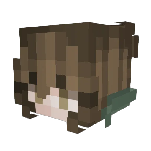 tuna__sand Minecraft avatar head, 3D render