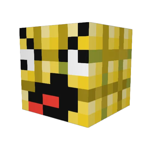 tunabrain2014 Minecraft avatar head, 3D render