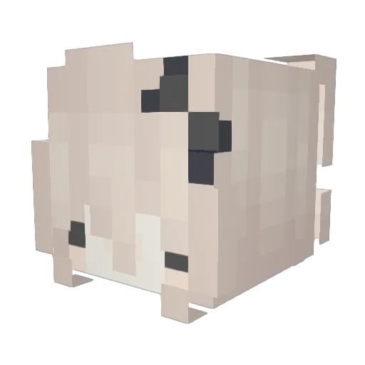 tunai Minecraft avatar head, 3D render