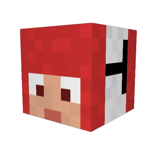 tunamayo Minecraft avatar head, 3D render