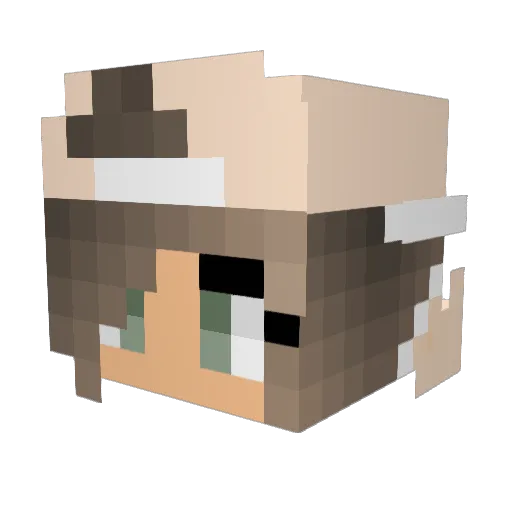 tunaspam Minecraft avatar head, 3D render