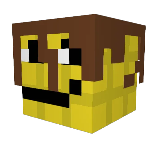 tunathegoat Minecraft avatar head, 3D render