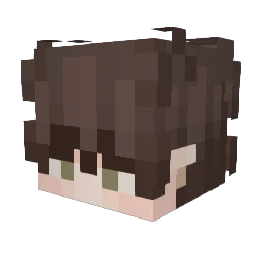 tuneco Minecraft avatar head, 3D render