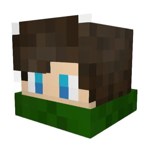 tunga720 Minecraft avatar head, 3D render