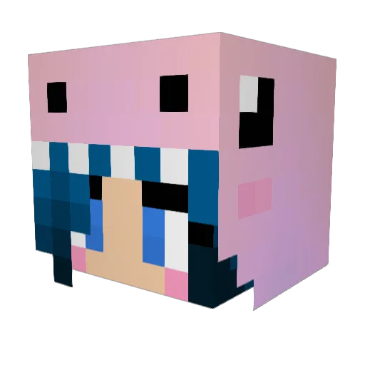 tungaries Minecraft avatar head, 3D render