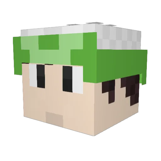 tunined Minecraft avatar head, 3D render