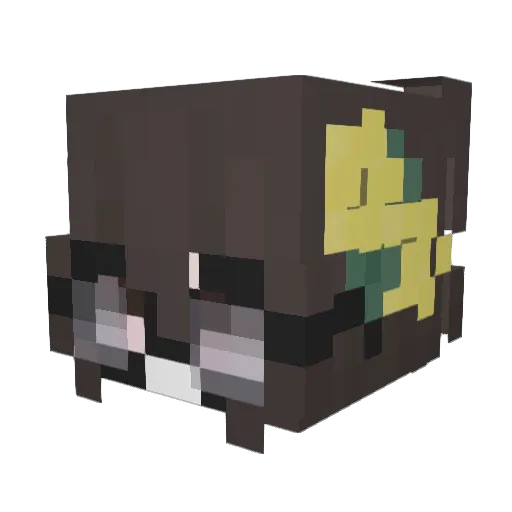 tunis4 Minecraft avatar head, 3D render
