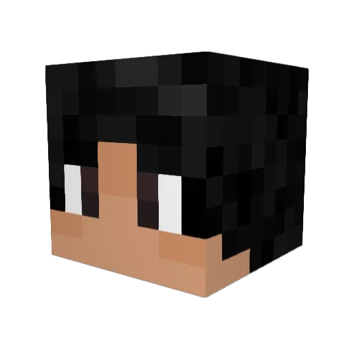 tunkinnnn Minecraft avatar head, 3D render