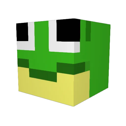 tuntun1010 Minecraft avatar head, 3D render