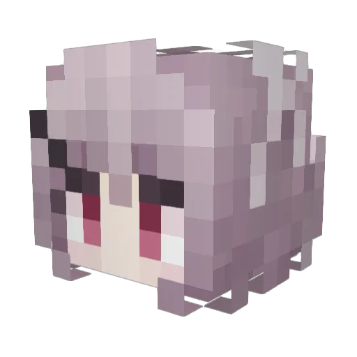 tuoleiqwq Minecraft avatar head, 3D render