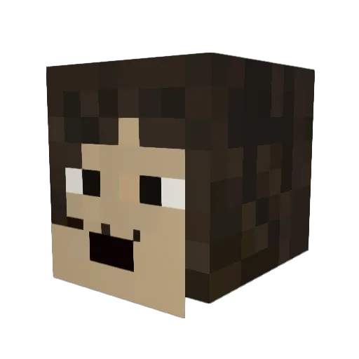 tuoppi323 Minecraft avatar head, 3D render