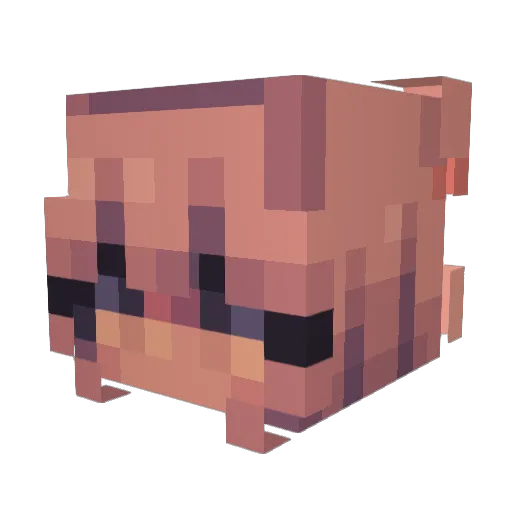 tupandactylus Minecraft avatar head, 3D render