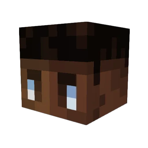 tupapa32110 Minecraft avatar head, 3D render